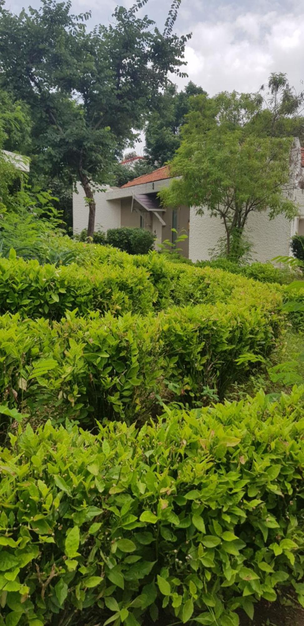 The Meadows Resort And Spa Aurangabad  Phòng bức ảnh